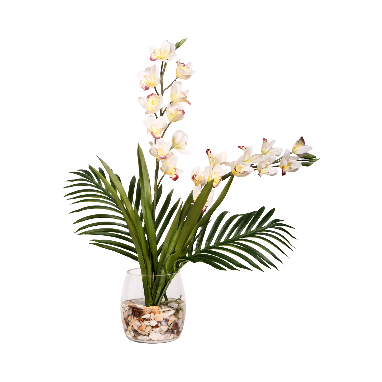 Cymbidium Orchids in Tumbler Vase - 221011