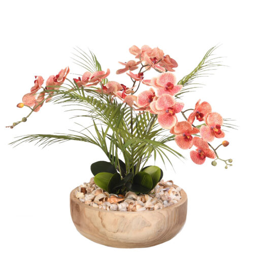 Red & Cream Phael Orchids in Ambrose Flat Bowl - 221015