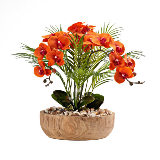 Orange Phael Orchids in Ambrose Flat Bowl - 221017