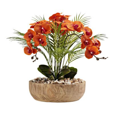 Orchids in Ambrose Flat Bowl - 221017