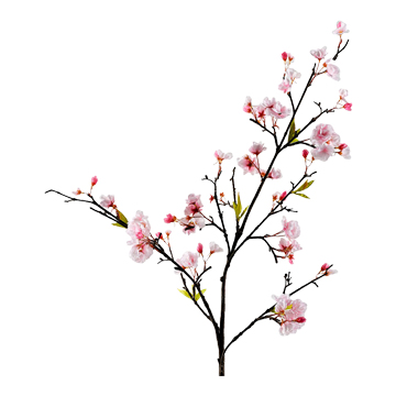 Pink Cherry Blossom - FL2496