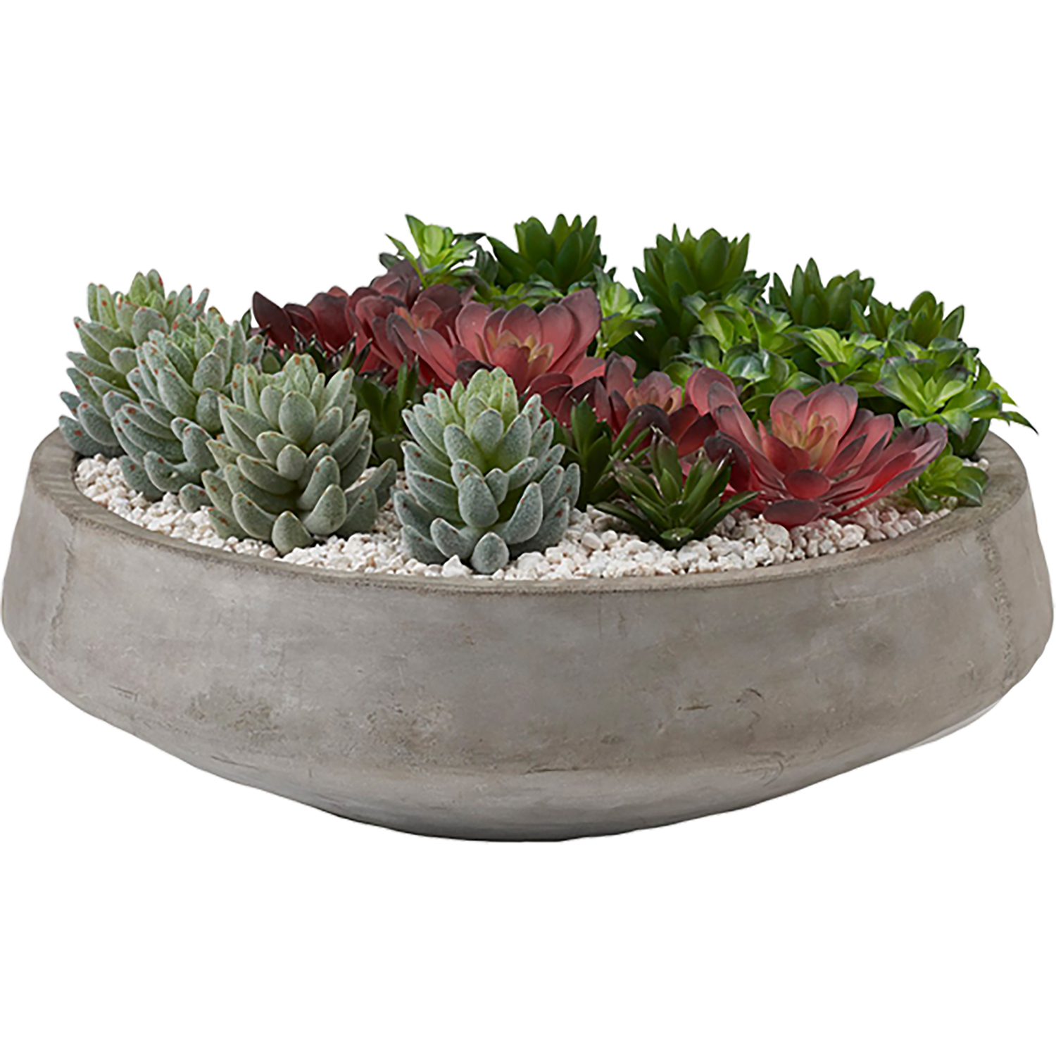 Echeveria & Assorted Succulents in Round Cement Bowl - 221030