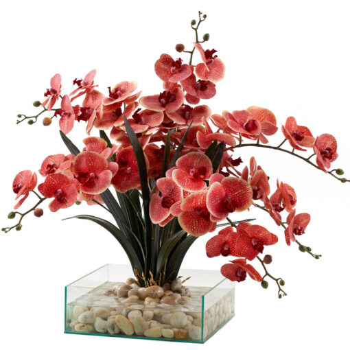 Red & Cream Phael Orchids in Marina Vase - 221032
