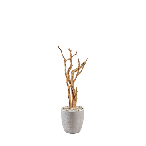 Ghostwood in Hudson Planter 5' - 322102