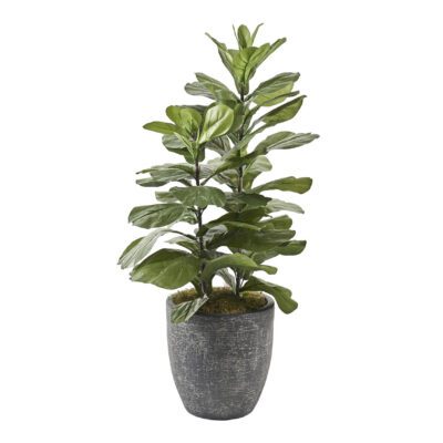Fiddle Leaf Fig in Hudson Planter 3.8' - 322103