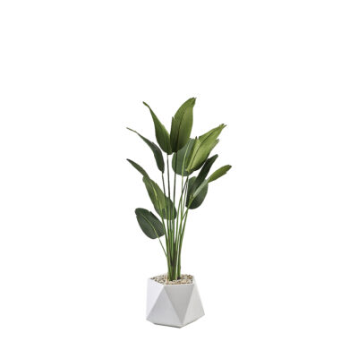 Traveler Palm in Jagger Planter 6' - 322107