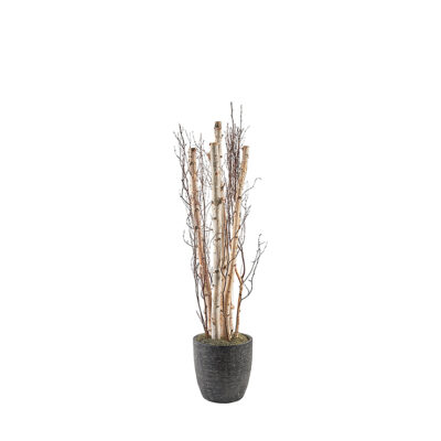 Birch Pole and Birch Branches in Sawyer Planter 7' - 322108