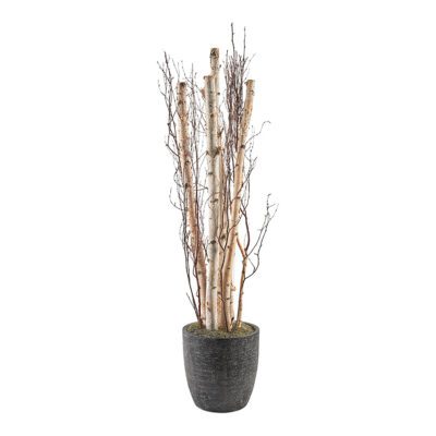 Birch Pole & Birch Branches in Sawyer Planter 7' - 322108