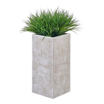 Yucca Grass in Medium Everett Planter - 322109
