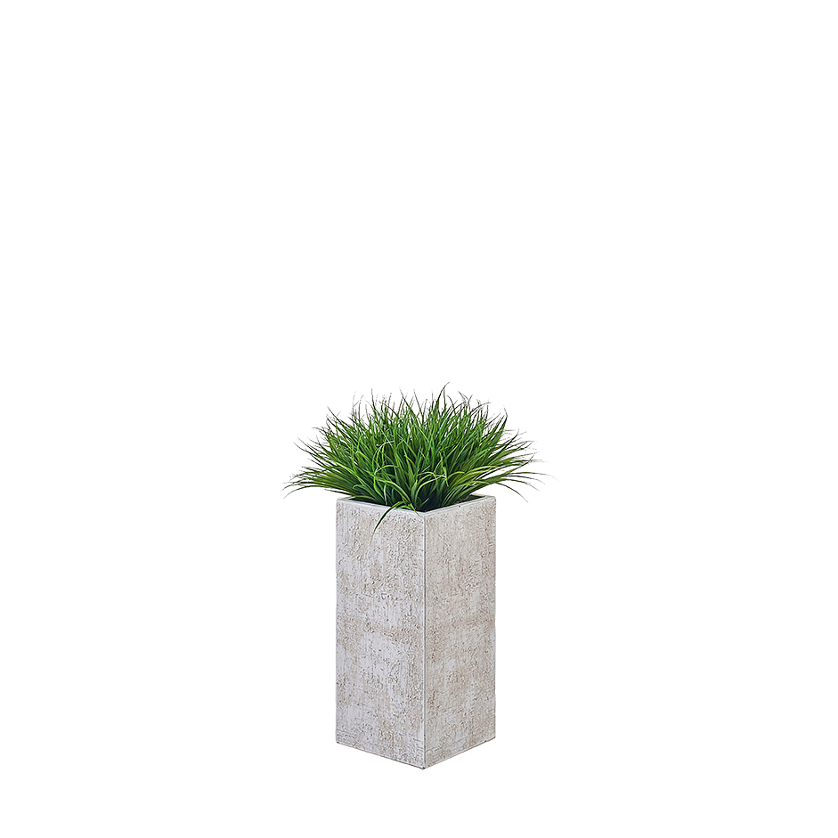 Yucca Grass in Medium Everett Planter - 322109