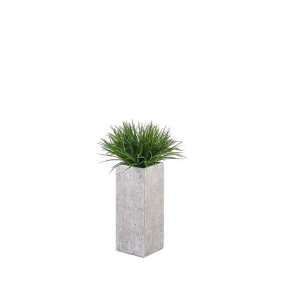 Yucca Grass in Planter - 322110