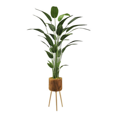 Traveler Palm in Asher Planter with Legs 7' - 322111