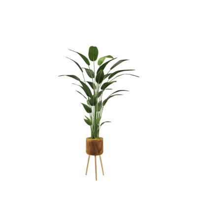 Traveler Palm in Asher Planter with Legs 7' - 322111