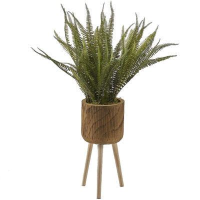 Boston Fern in Medium Asher Planter with Legs - 322113