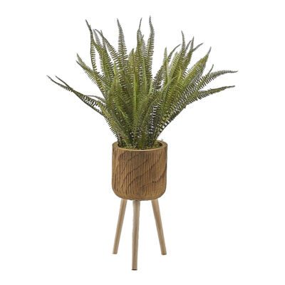 Boston Fern in Asher Planter with Legs 3' - 322113