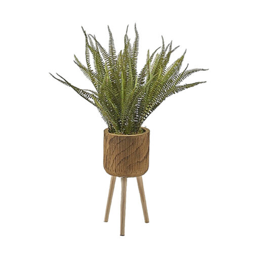 Boston Fern in Asher Planter with Legs 3' - 322113 - Image 2