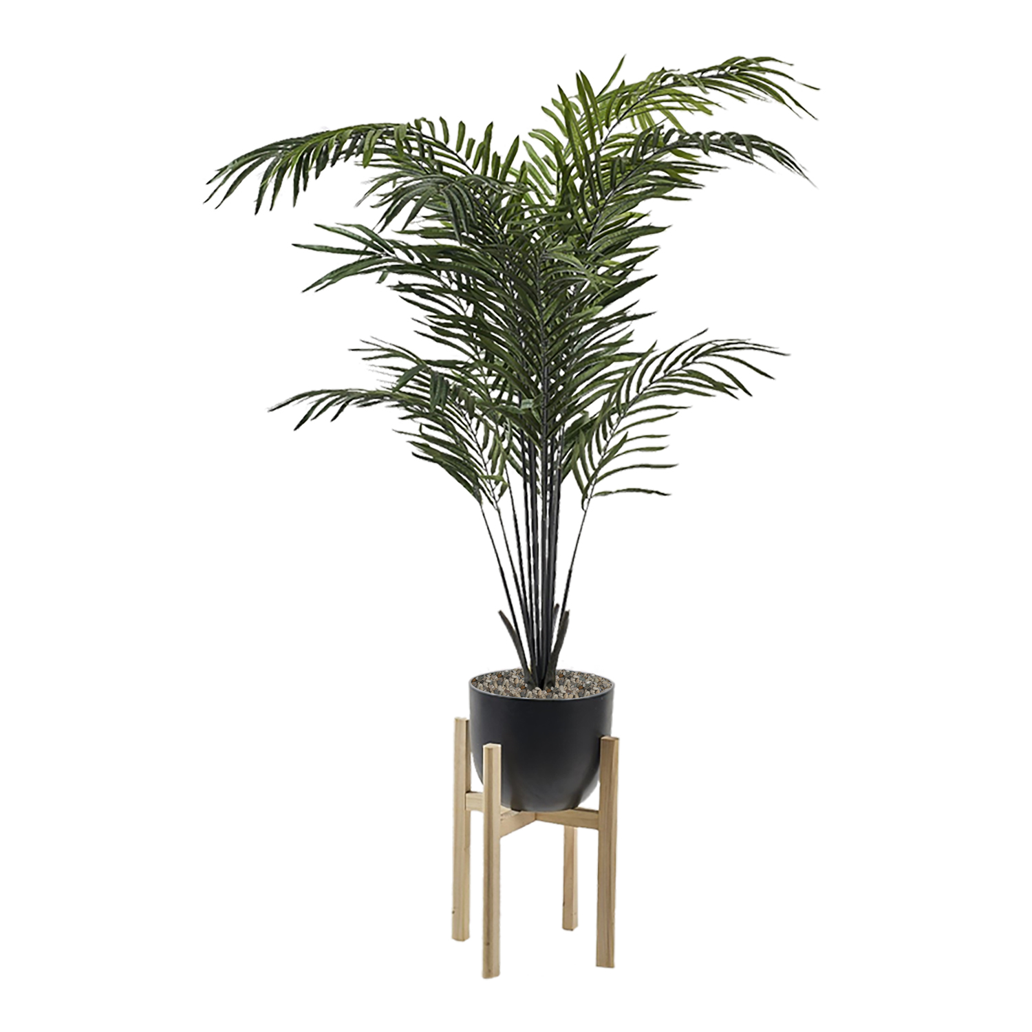 Areca Palm in Catalina Planter with Wood Stand 6.3' - 322114