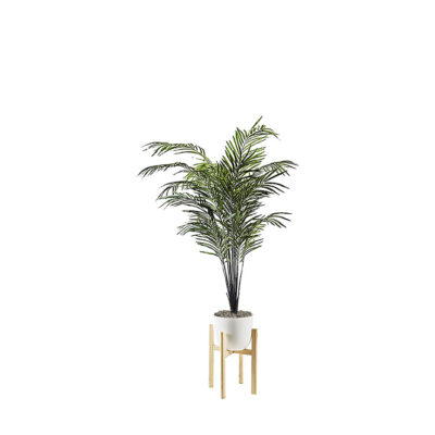 Areca Palm in Catalina Planter 6.4' - 322115