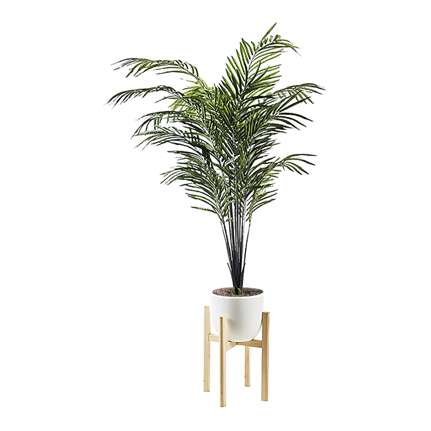 Areca Palm in Catalina Planter 6.4' - 322115