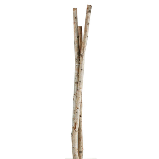 6' Small Birch Pole Bundle - 323018