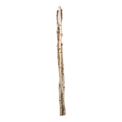 Small Birch Pole Bundle 6' - 323018