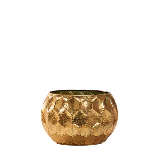 Felix Planter