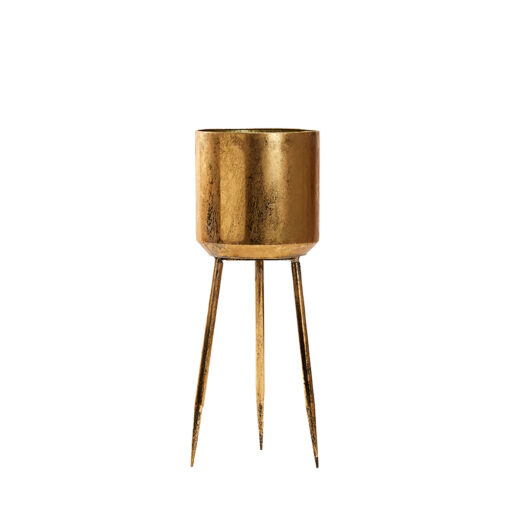 Regina Planter