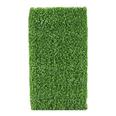 Large Boxwood Hedge - TL670