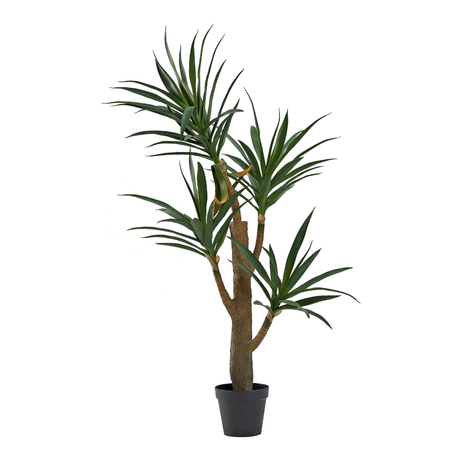 Yucca Tree 5' - TL999