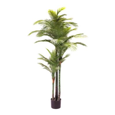 Palm Tree 7' - TL812