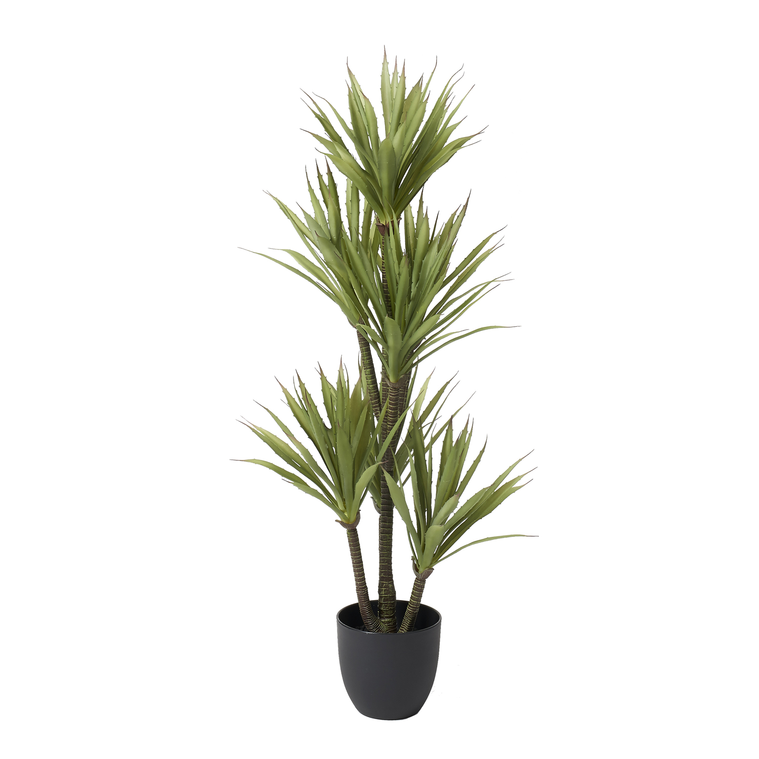Yucca Tree 3.6' - TL909