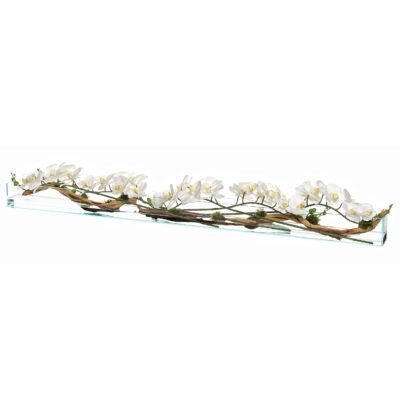 White Orchids & Ghostwood in XL Aquaria Glass- 236019