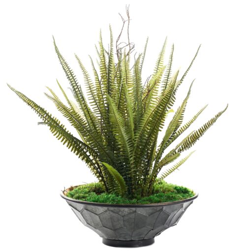Boston Fern & Bushy Dragon in Small Vida Planter - 236020