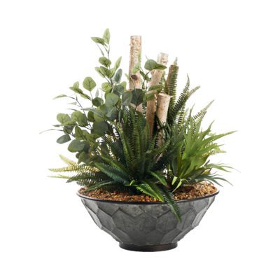 Boston Fern, Eucalyptus, Staghorn Fern, and Birch in Vida Planter - 236023