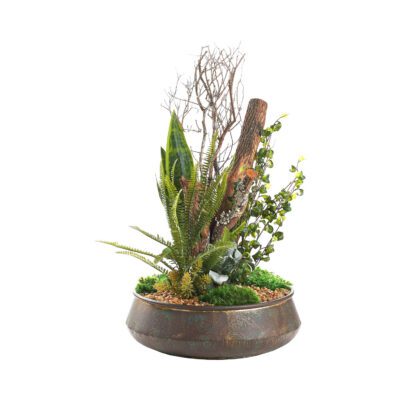 Sansevieria with Assorted Greenery & Dragonwood in Virtu Planter - 236024
