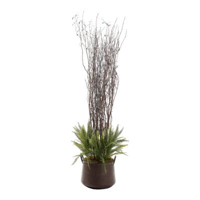 Boston Fern Tree in Lantana Planter 6.5' - 323600