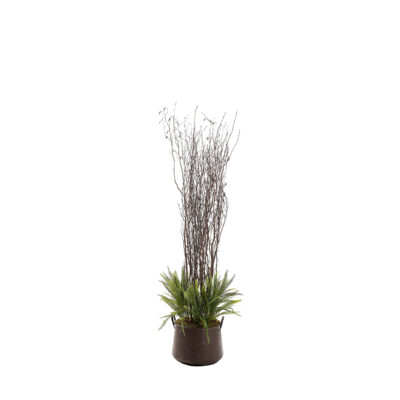 Boston Fern Tree in Lantana Planter 6.5' - 323600
