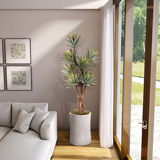 Agave Tree in Weston Planter 8' - 323602 - Image 2