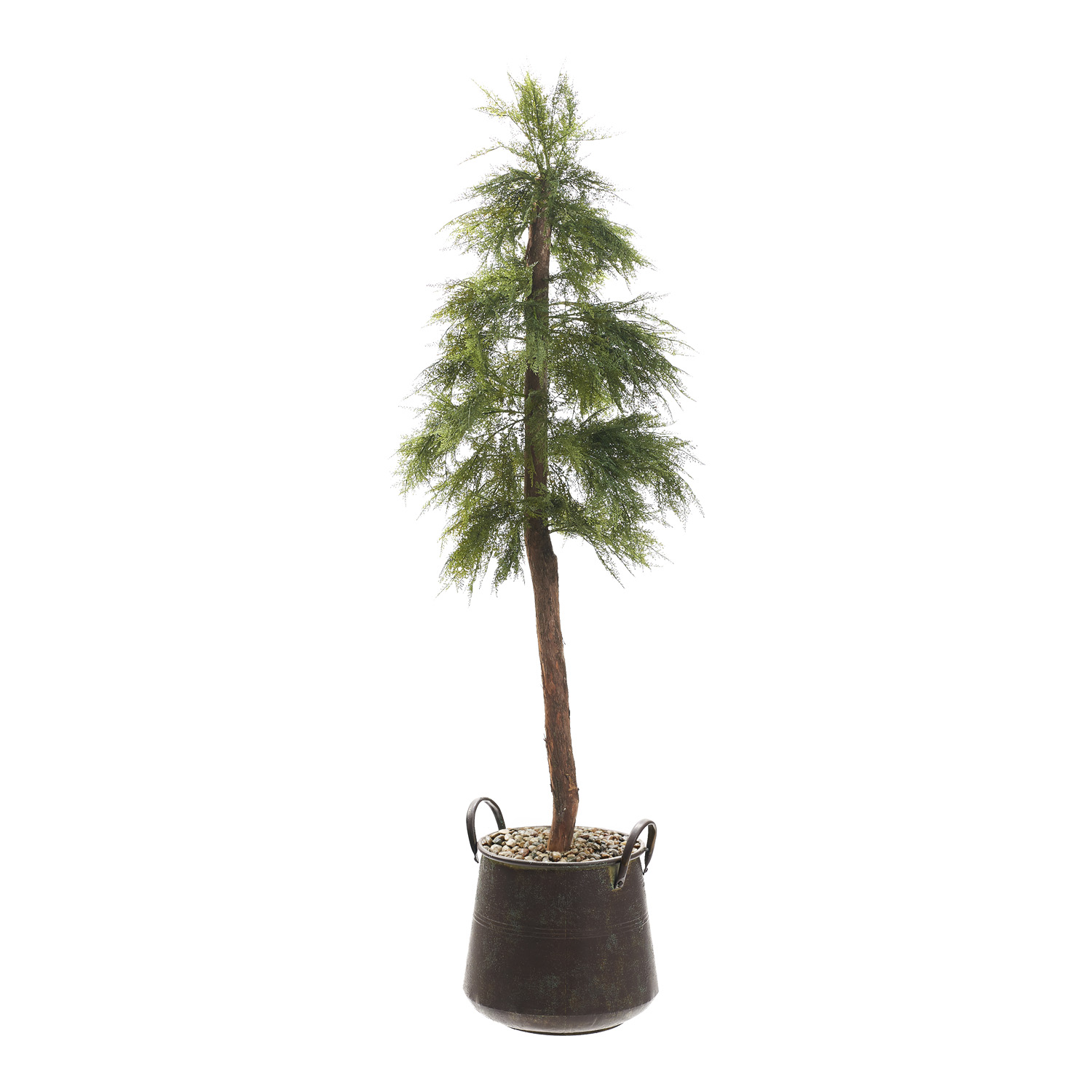 Artemisia Tree in Lantana Planter 6.5' - 323603