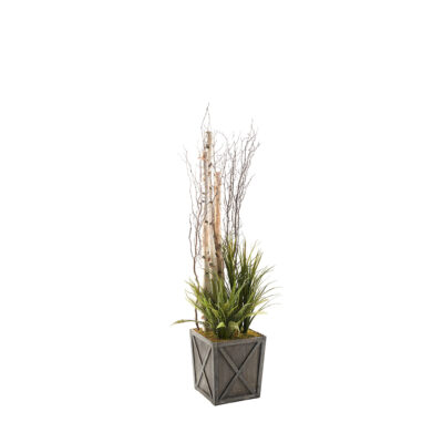 Birch with Assorted Greenery in Grange Planter 7' - 323605