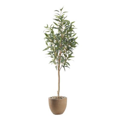 Eucalyptus in Grove Planter 6.5' - 323608