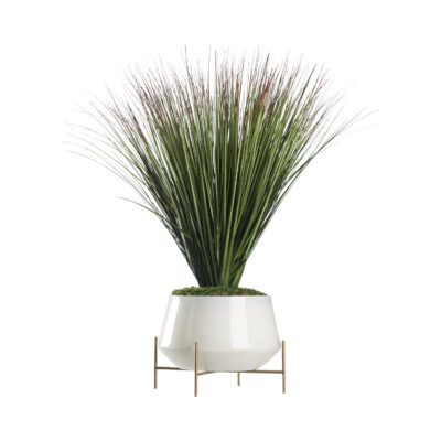 Onion Grass in Parson Planter - 239002