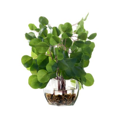 Eucalyptus Green in Bevel Vase - 239013