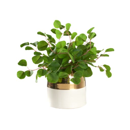 Eucalyptus in Gold/Cream Large Ceramic Planter - 239017