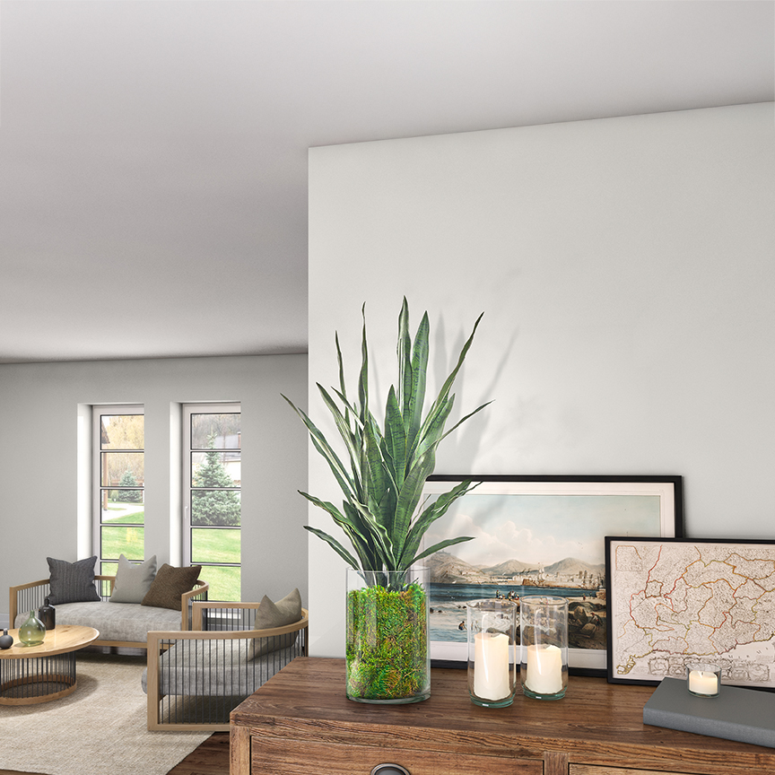 Sansevieria in Rowan Vase - 239022 - Image 2