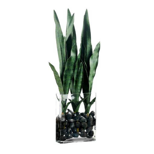 Sansevieria in Panel Vase - 239023