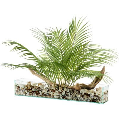 Areca Palm & Ghostwood in Aquaria Vase - 239027
