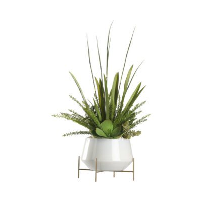 Horsetail Reed and Assorted Succulents in Parson Planter - 239030