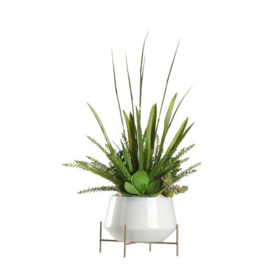 Horsetail Reed and Assorted Succulents in Parson Planter - 239030