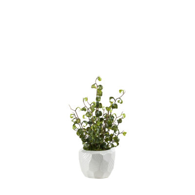 Benjamin Ficus in Flintstone Planter - 239033